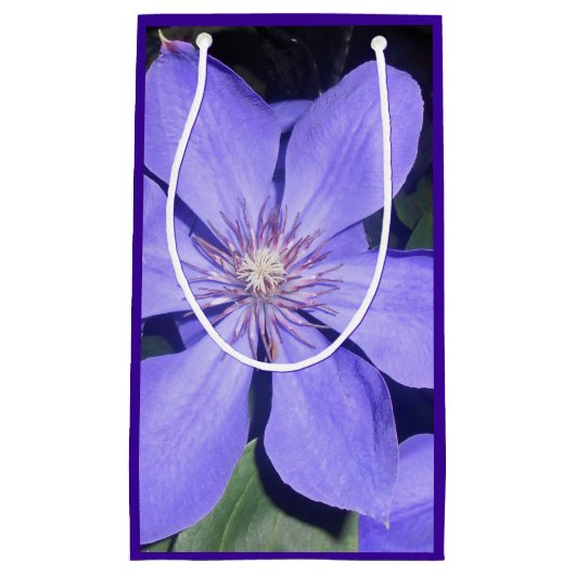 Césarine Klein Cadeauzakje (Voorkant)