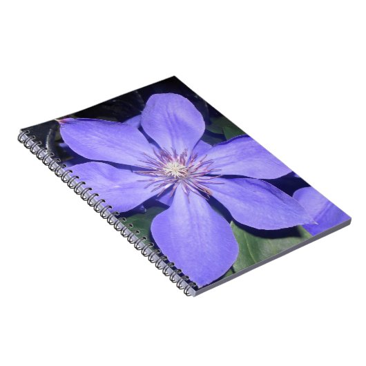 Césarine Notitieboek (Rechterzijde)