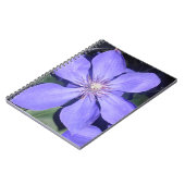 Césarine Notitieboek (Linkerzijde)