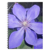 Césarine Notitieboek (Voorkant)