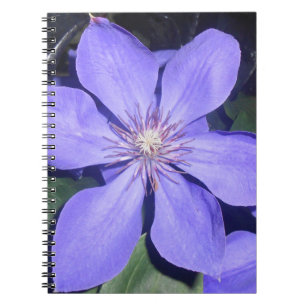 Césarine Notitieboek