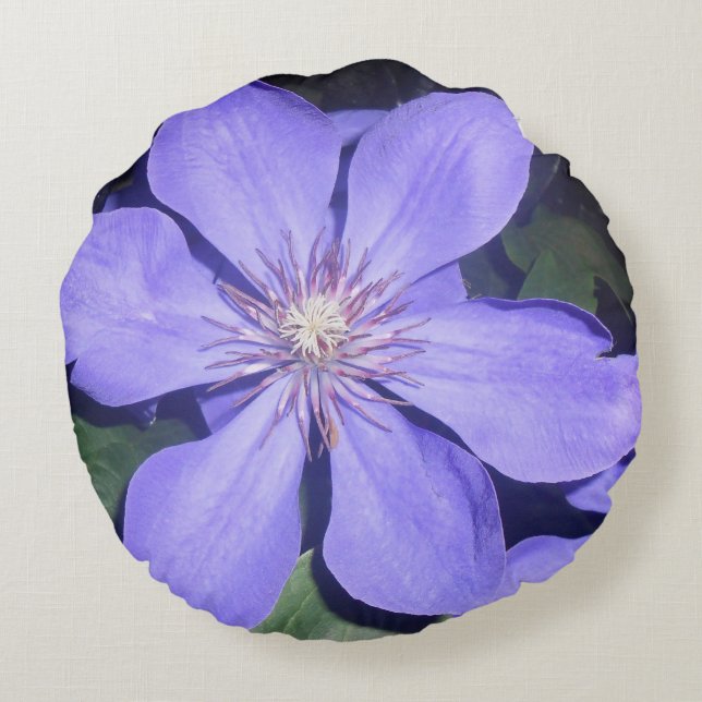 Césarine Rond Kussen (Achterkant)