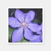 Césarine Servet (Voorkant)