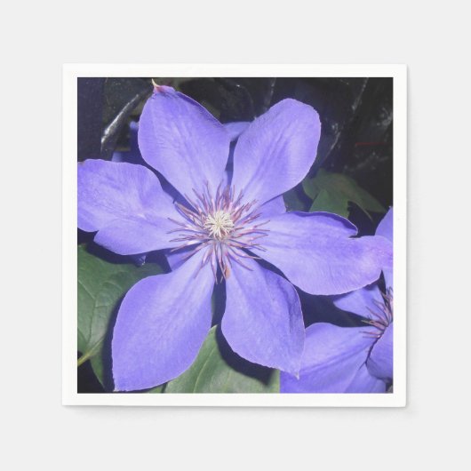 Césarine Servet (Voorkant)