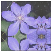 Césarine Stof (Close Up)