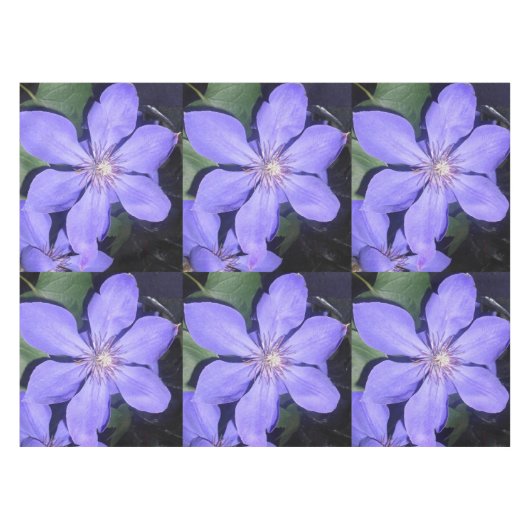 Césarine Tafelkleed (Voorkant (Horizontaal))