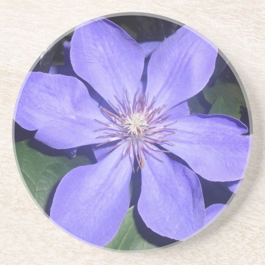 Césarine Zandsteen Onderzetter (Voorkant)