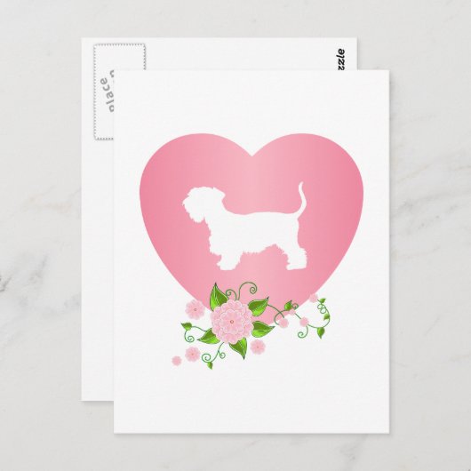 Cesky Terrier Briefkaart (Voorkant / Achterkant)