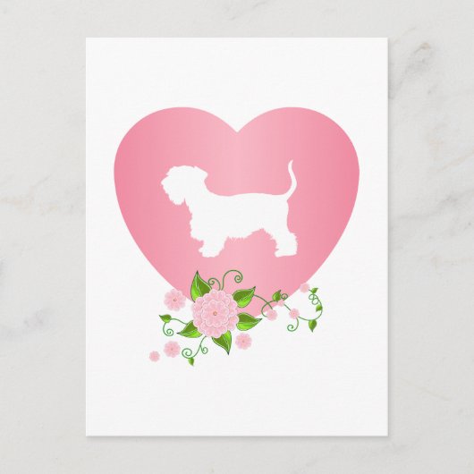 Cesky Terrier Briefkaart (Voorkant)