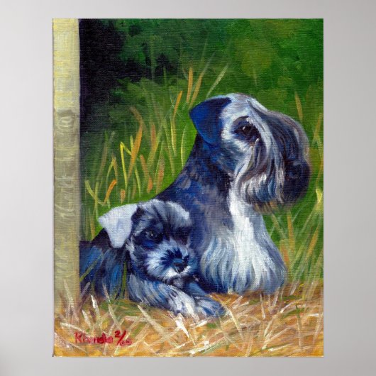 Cesky Terrier Dog Portrait Poster (Voorkant)