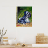 Cesky Terrier Dog Portrait Poster (Keuken)