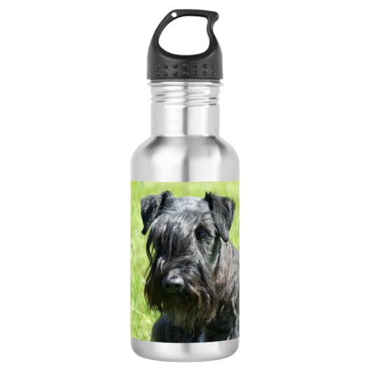 cesky-terrier.png waterfles (Voorkant)
