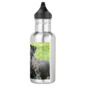 cesky-terrier.png waterfles (Rechts)