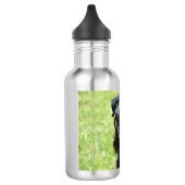 cesky-terrier.png waterfles (Links)