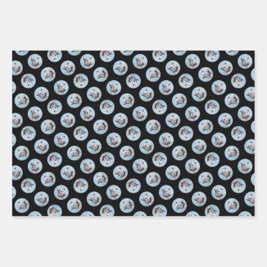 Cesky Terrier Schilderen Schattigee Originele Pet  Inpakpapier Vel (Voorkant 3)