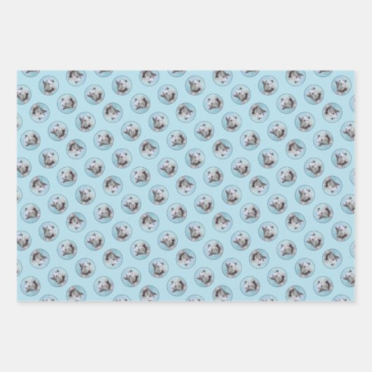 Cesky Terrier Schilderen Schattigee Originele Pet Inpakpapier Vel (Voorkant)