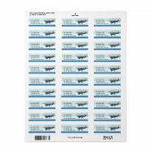 Cessna 150 vliegtuig etiket (Full Sheet)