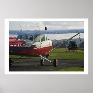 Cessna 172 en Schweizer 300C Poster