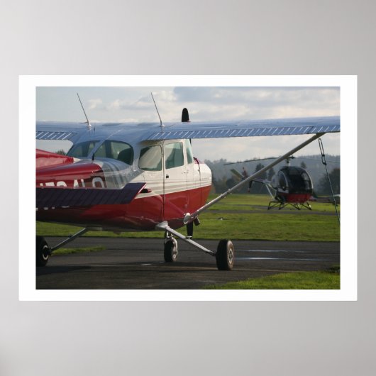 Cessna 172 en Schweizer 300C Poster (Voorkant)