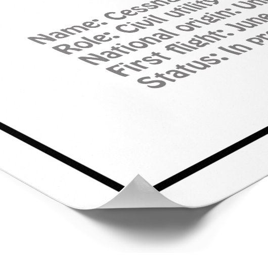 Cessna 172 Skyhawk - Vliegtuigblauwdruk Plannen BD Poster (Hoek)