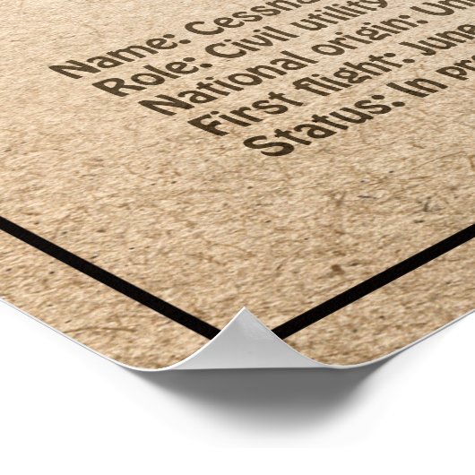 Cessna 172 Skyhawk - Vliegtuigblauwdruk Plannen SD Poster (Hoek)