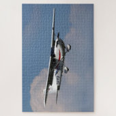 Cessna 172R Skyhawk PH-VOP Legpuzzel (Verticaal)