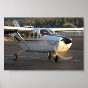 Cessna Skymaster Poster