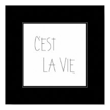 C'est La Vie - Dat is het leven - Frans