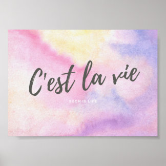 CEST LA VIE French Zo'n leven Poster