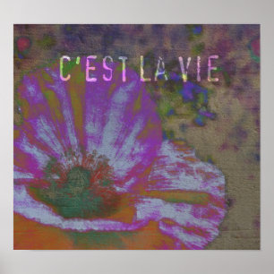 C'est La Vie Poppy Poster