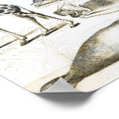 Cetacea Edentata Poster (Hoek)