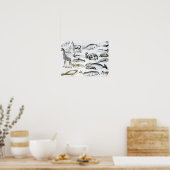 Cetacea Edentata Poster (Keuken)