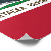 Cetacea Republic Whale Flag Rorqual Poster (Hoek)