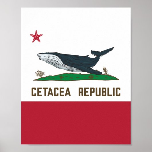 Cetacea Republic Whale Flag Rorqual Poster (Voorkant)