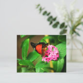 Cethosia biblis Briefkaart (Staand voorkant)