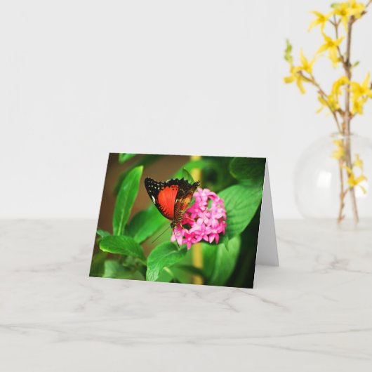 Cethosia biblis Kaart (Gele Bloem)