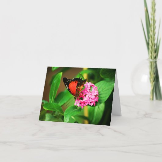 Cethosia biblis Kaart (Voorkant)