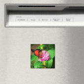 Cethosia biblis Magnet (Insitu (Vaatwasser))