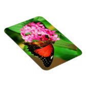 Cethosia biblis Premium Magnet Magneet (Rechterzijde)