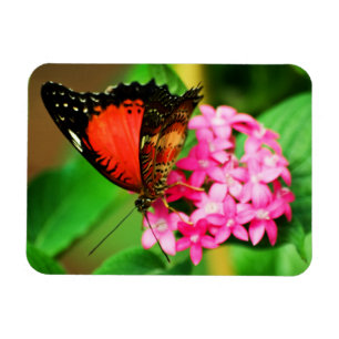 Cethosia biblis Premium Magnet Magneet