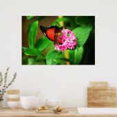 Cethosia biblis Print (Keuken)