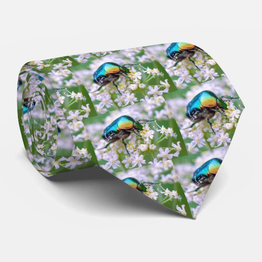 Cetonia kever op witte stropdas (Opgerold)