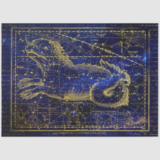 cetus constellatie tissuepapier (Voorkant)
