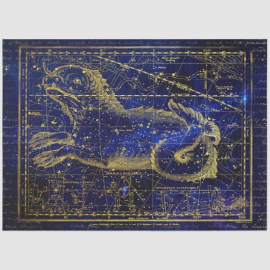 cetus constellatie tissuepapier (Voorkant)