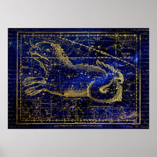 cetus constellation poster (Voorkant)