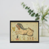 Cetus, Fornax Chemica, Machina Electrica, enz. Briefkaart (Staand voorkant)