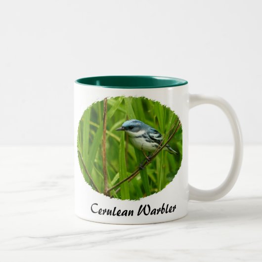 Ceurlean Warbler, Gele Warbler II Tweekleurige Koffiemok (Rechts)