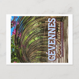 CEVENNES NATIONAL PARK - LOZERE, GARD, FRANKRIJK BRIEFKAART