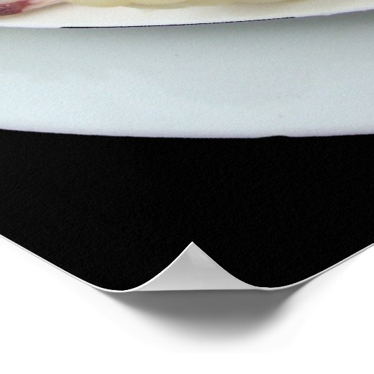 Ceviche con Mariscos-on Dramatic Black Background Poster (Hoek)