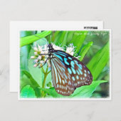 Ceylon Blue Glassy Tiger Briefkaart (Voorkant / Achterkant)